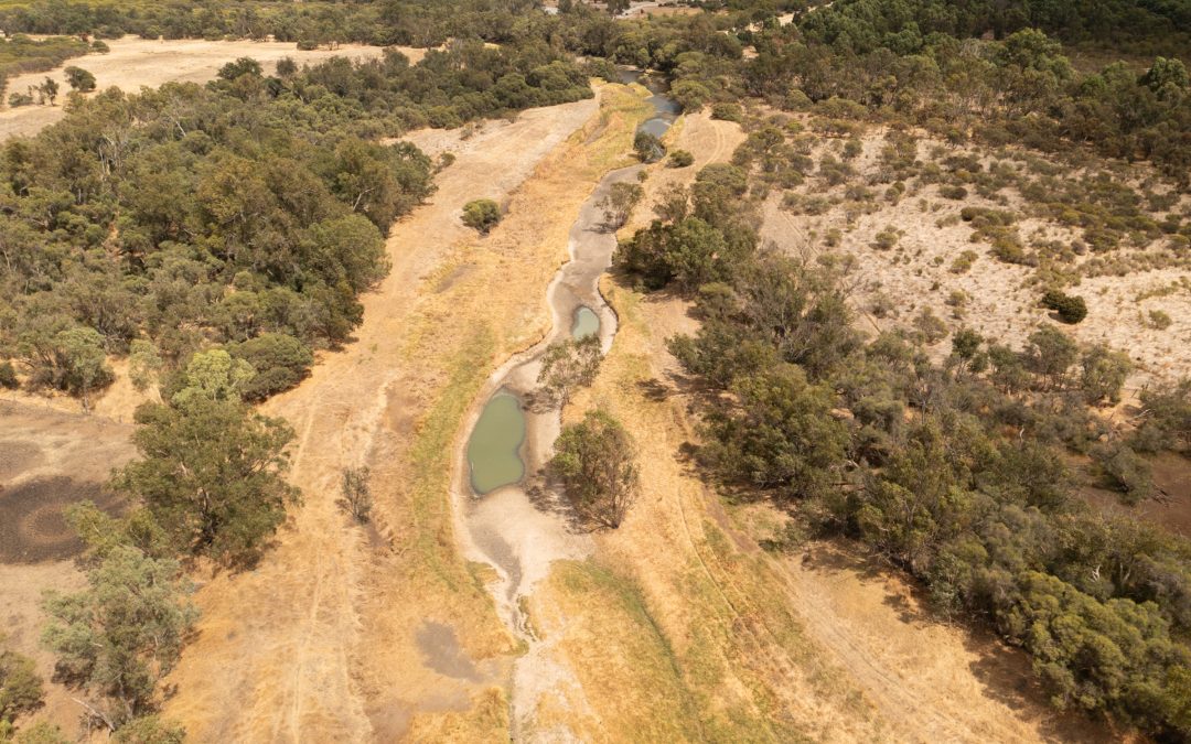 Healing Bilya – Restoring the Peel-Harvey Waterways